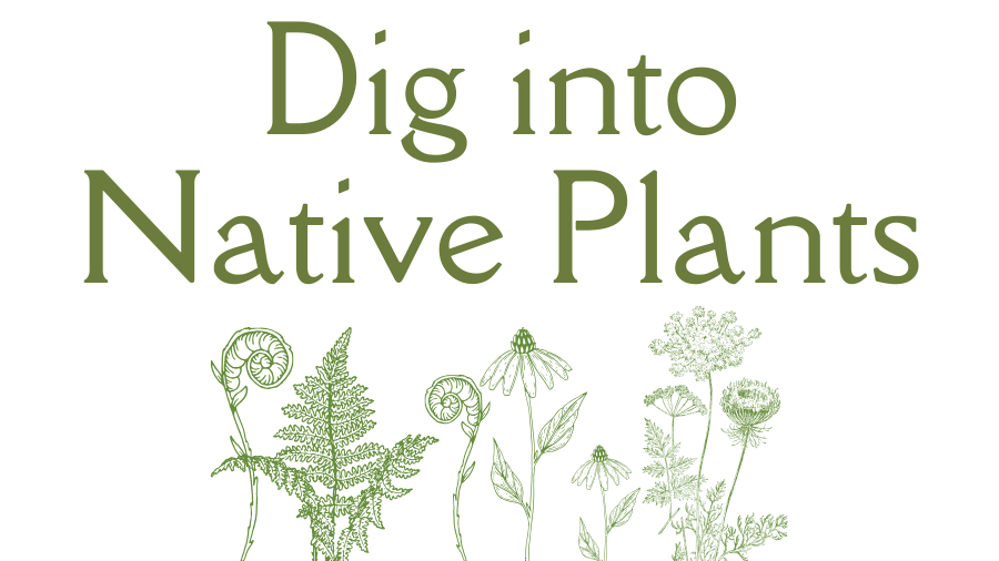 Dig into Native PlantsTitle Banner Phone Version - FF Wildscapes