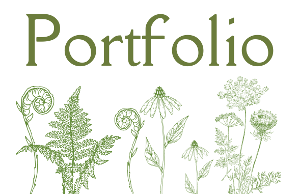 Portfolio Title Banner Phone Version