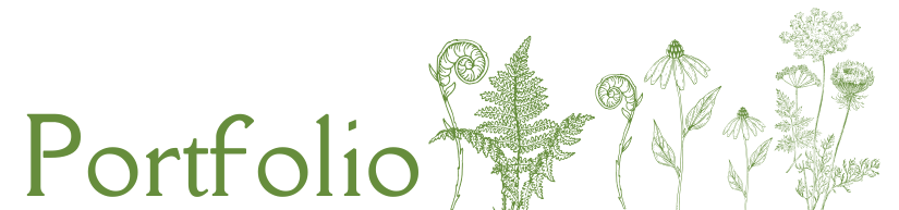 Portfolio Title Banner