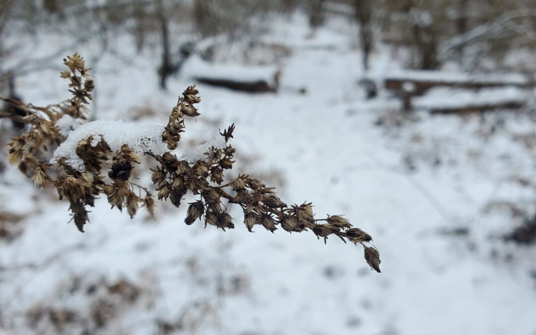 As the Snow Melts…